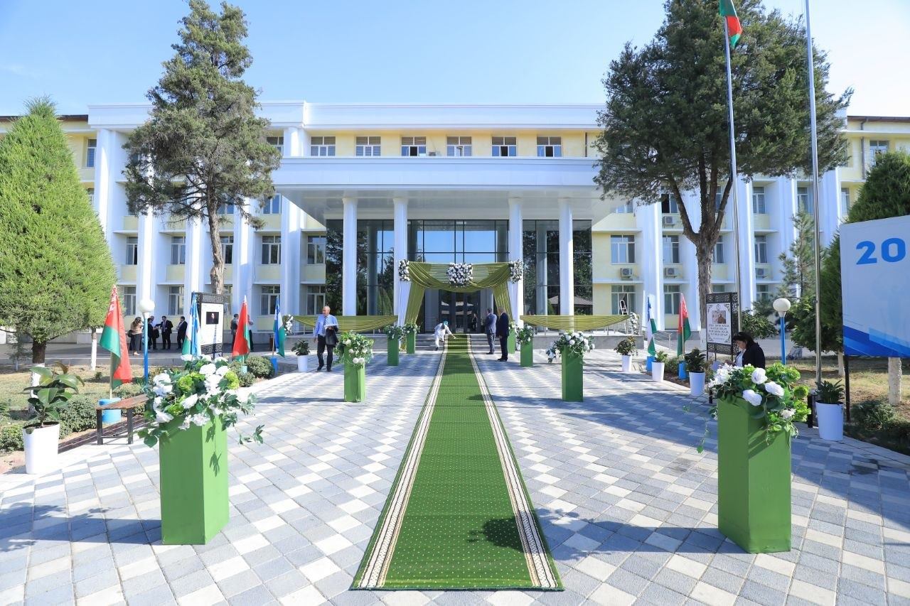 Institut binosi